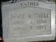 Jamie Wesley Snell Headstone 1894-1973